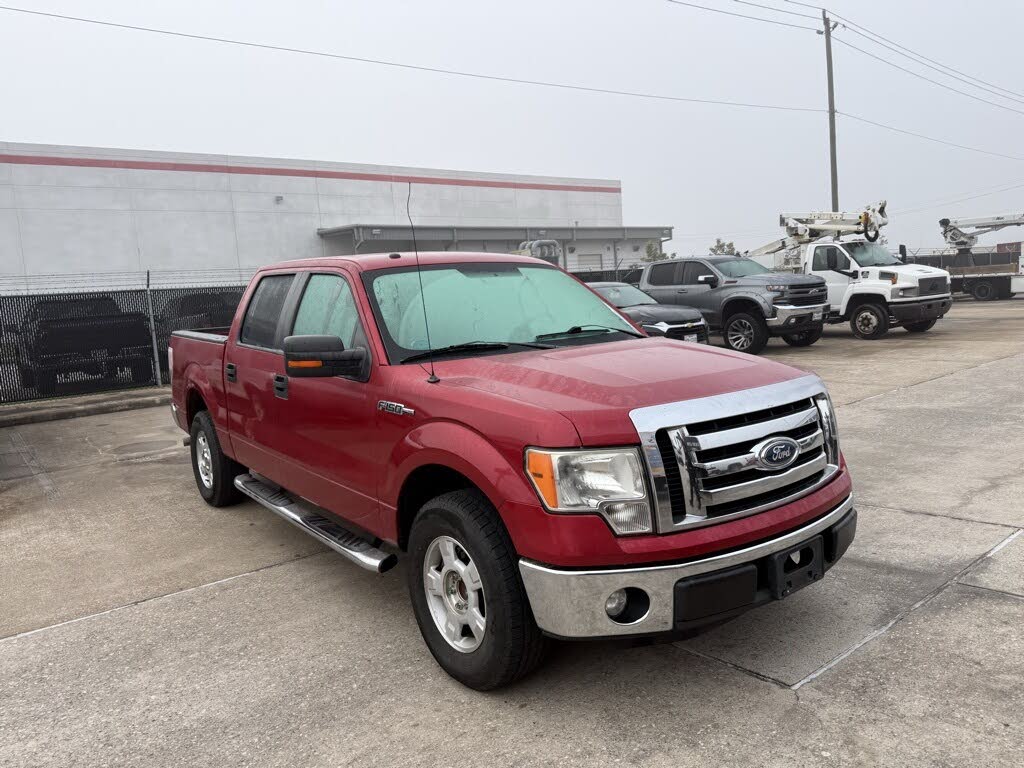 Original photo with challenging background